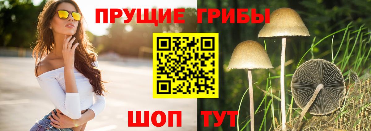 Чехов  Псилоцибиновые грибы MAGIC MUSHROOMS  Вход с VPN 