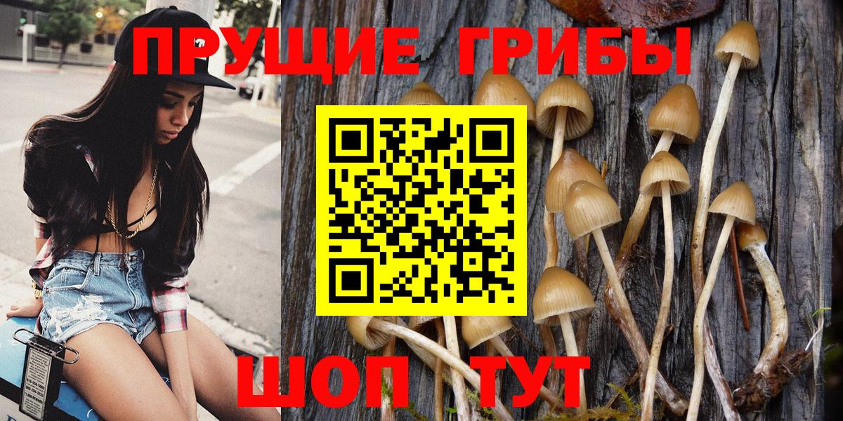 Галлюциногенные грибы Psilocybine cubensis Чехов